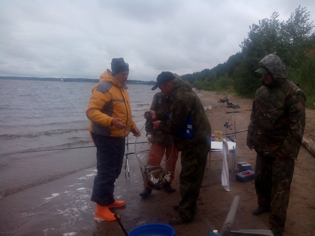 Фидерные посиделки 2015 12