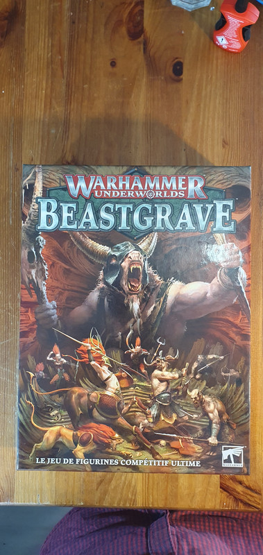 [Image: Warhammer_underworlds_Beastgrave_(2).jpg]