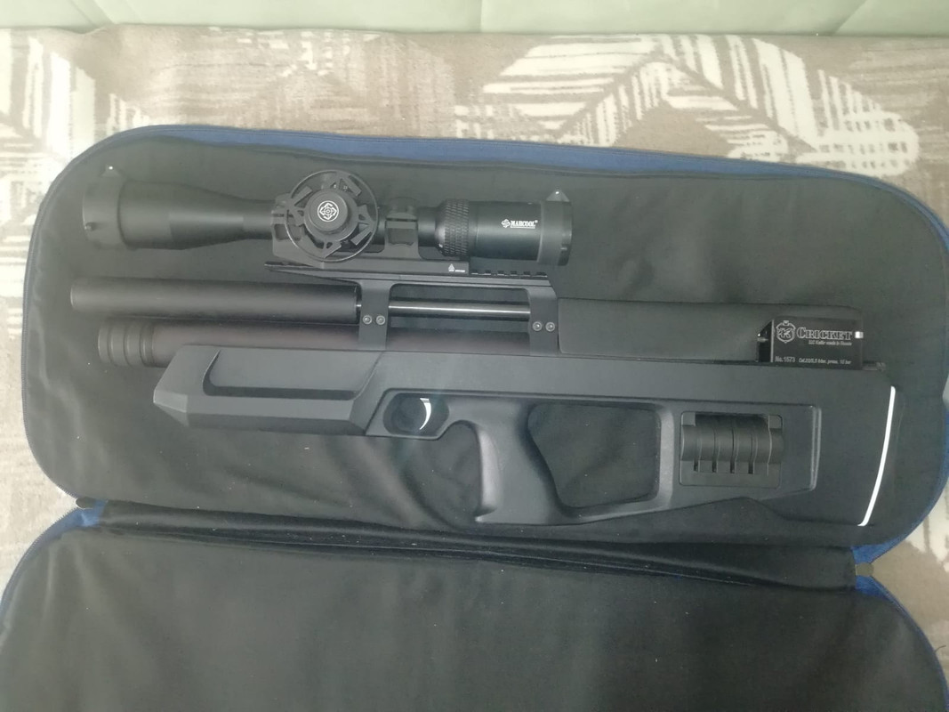 Изображение WhatsApp 2023-05-02 в 21.22.34