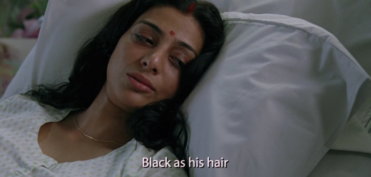 The Namesake Movie Screenshot