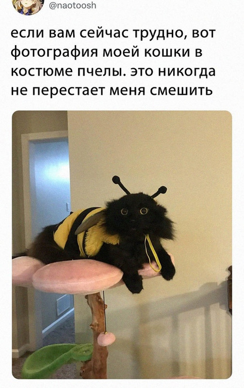 17217462.jpg