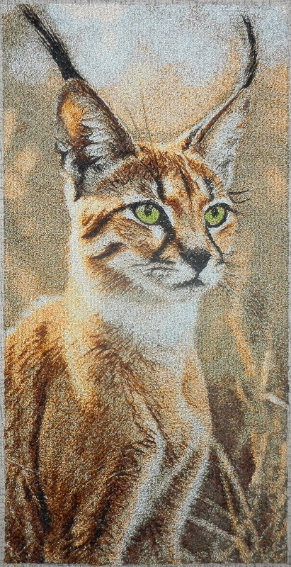 05