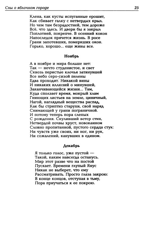 Mashevskij-Aleksej-Sny-o-jablochnom-gorode-page-0026