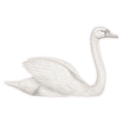 image 2026 03 10 113427901