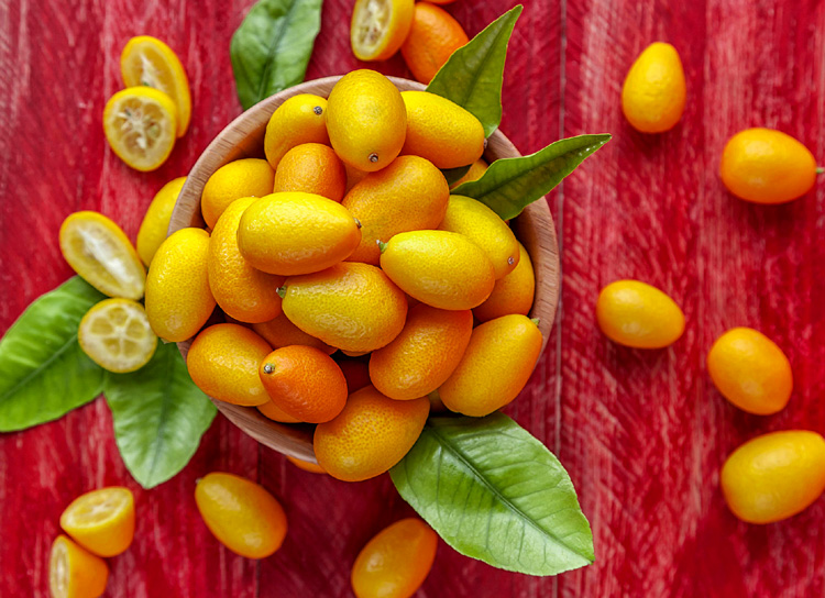 How to Grow Kumquats