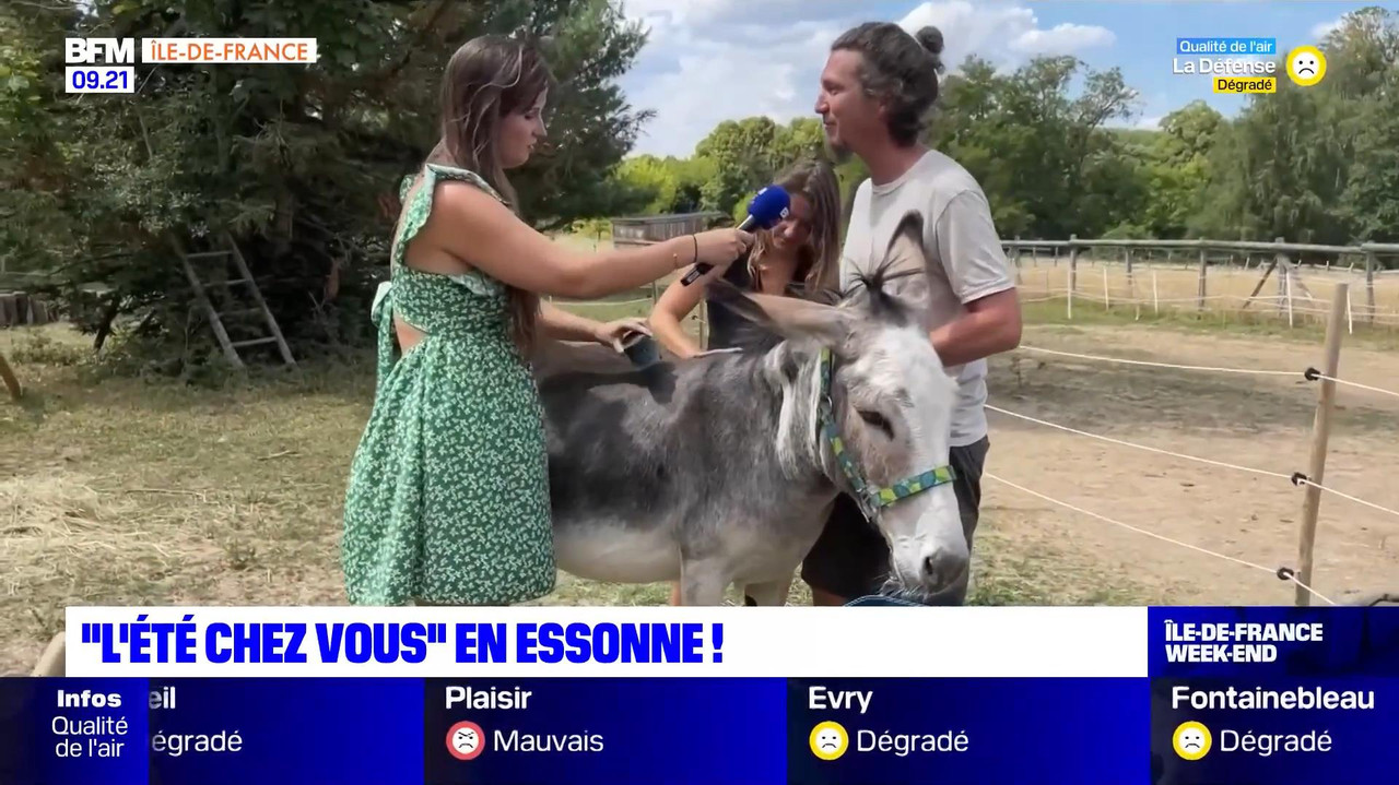 vlc-record-2022-08-13-16h22m53s-08.13 - 07.55.51-1.m4v-.mp4_snapshot_06.15_[2022.08.13_17.09.50]
