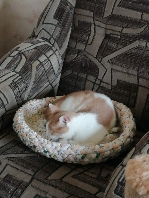 Буся на папином месте