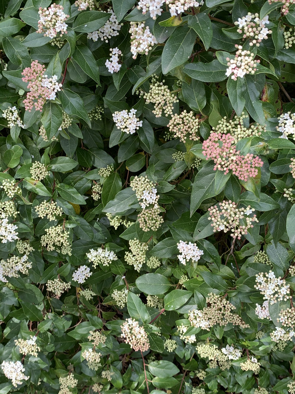 8D2E7272-AF17-44C0-BE08-279D2A845CC5