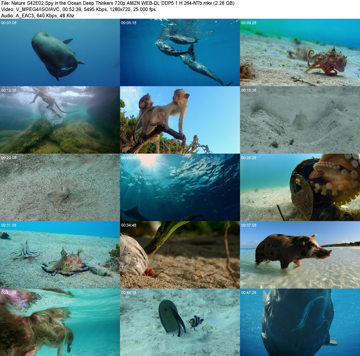 [Image: 9k07eerzy0kn.jpg]