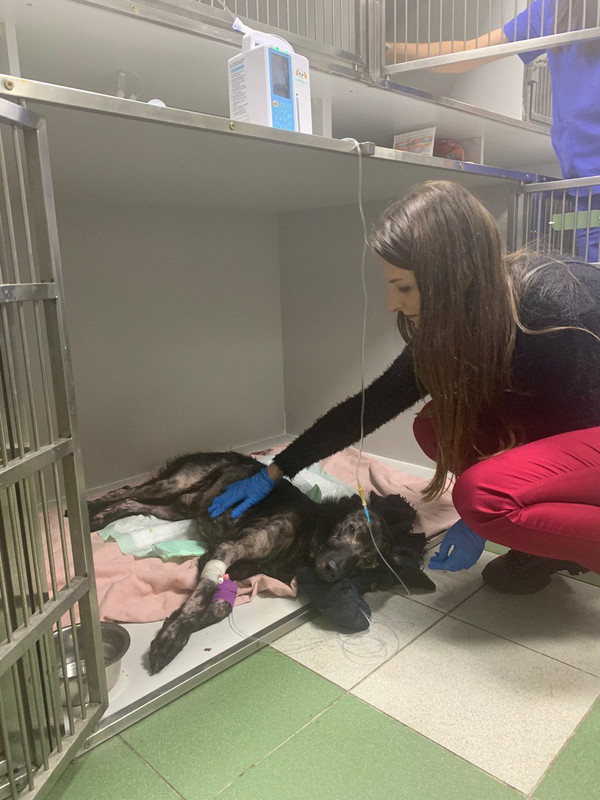 B90DEFEA-AFF4-4F4A-851A-EF83FA73D1CC