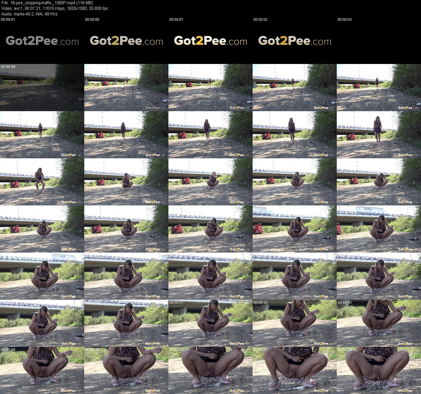18-pee_stopping-traffic_1080P