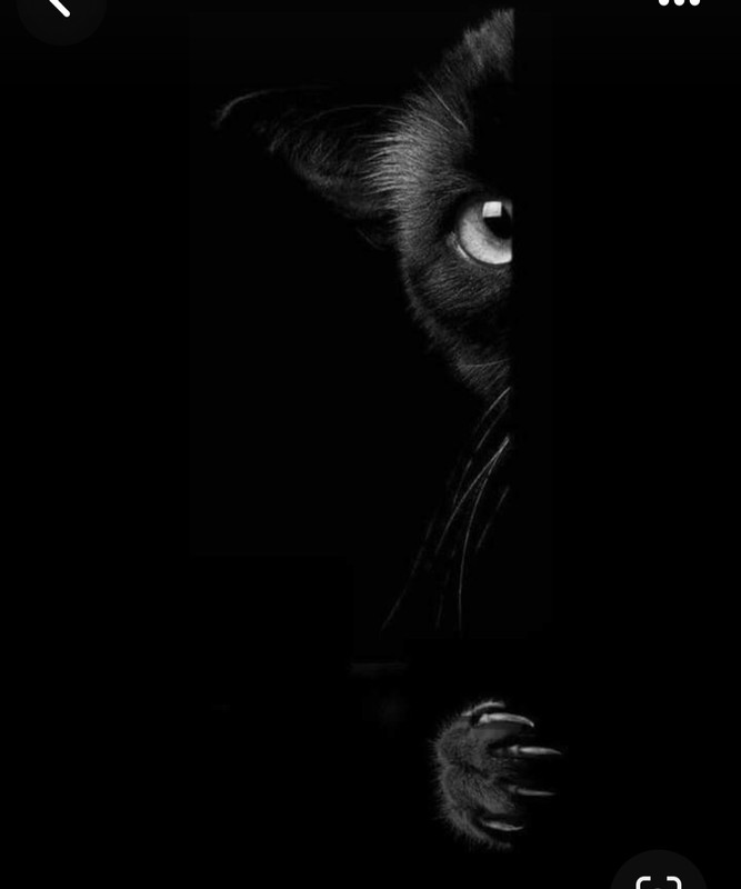 Screenshot_20240409_003413_Pinterest