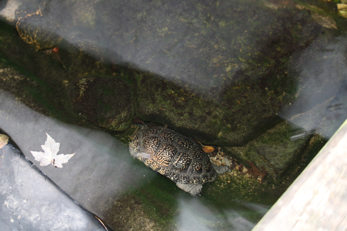 IMG-2439.jpg