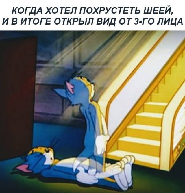 17176005.jpg