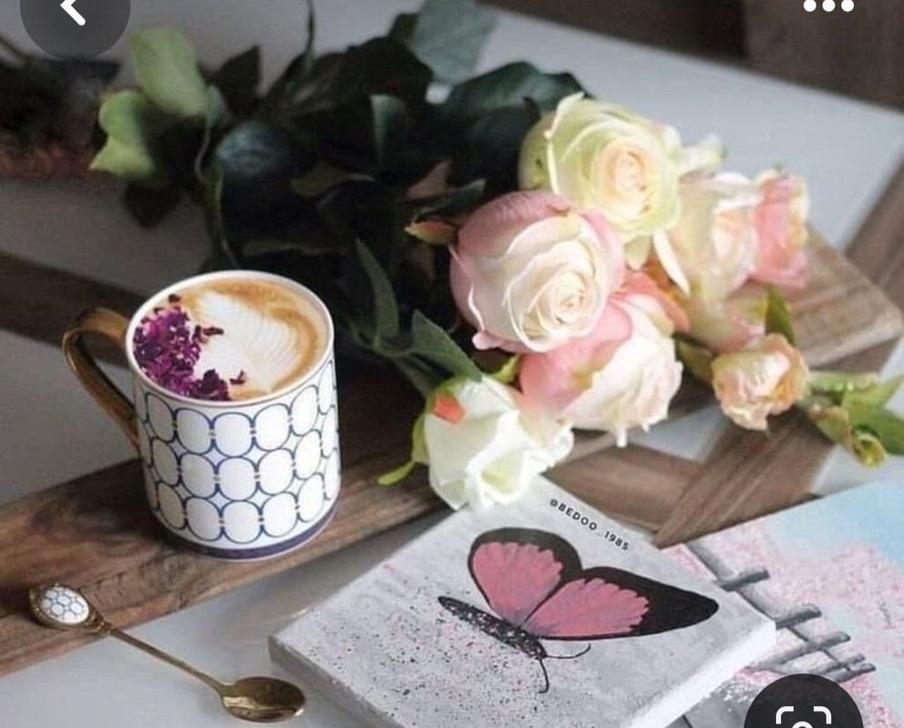 Screenshot_20240328_232409_Pinterest