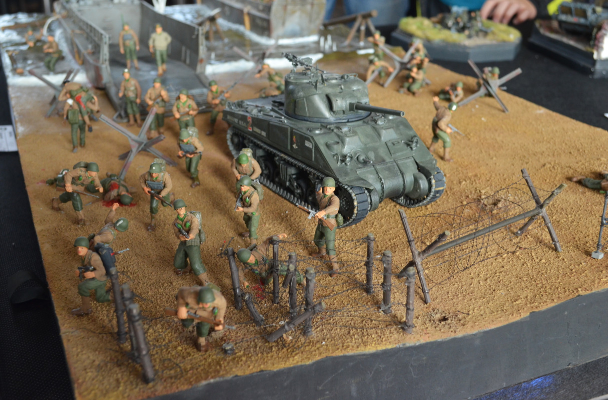 Žamberecký divočák 2019 298