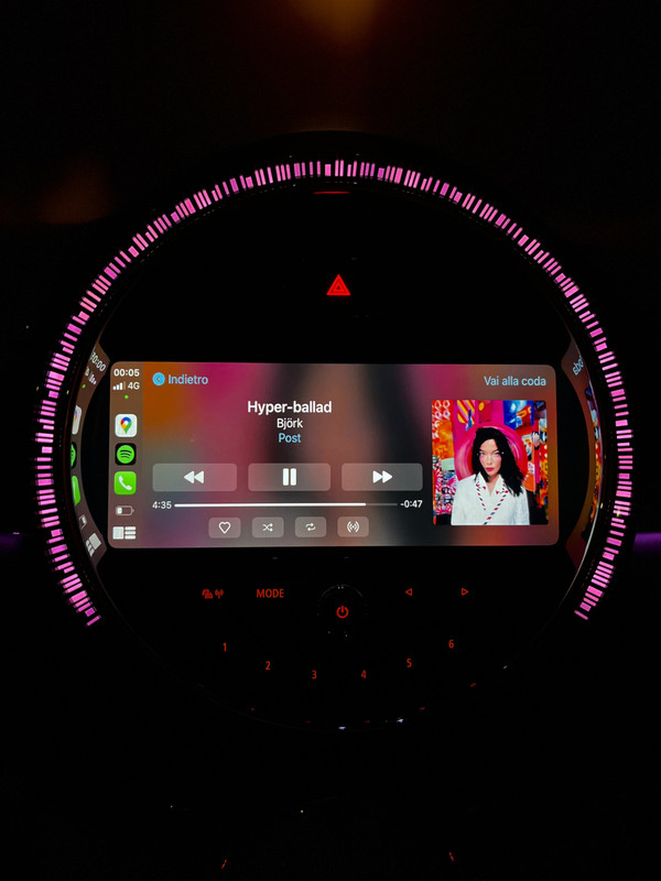 bjork.jpg
