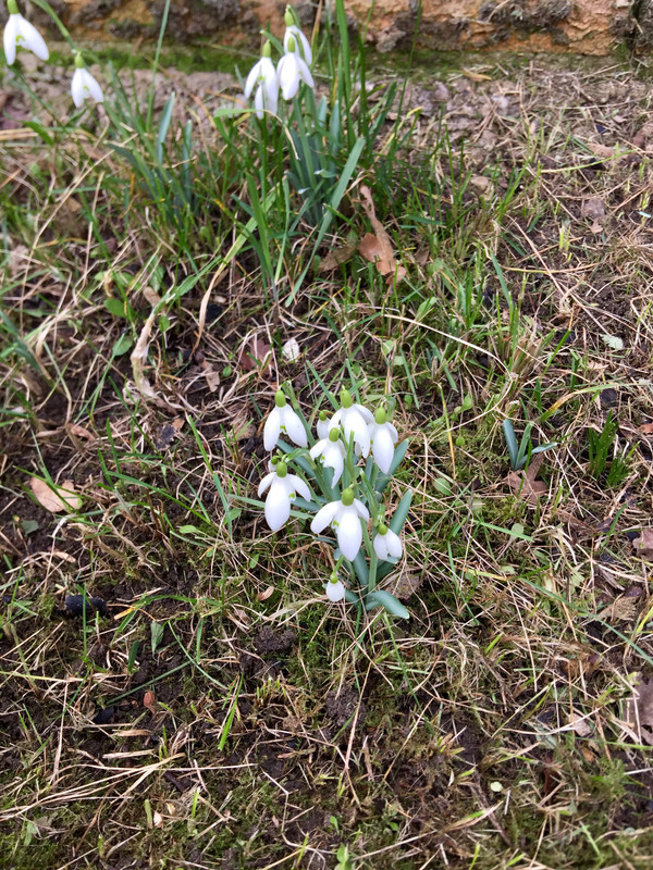 59CFA764-AA66-4427-8EA5-ED4487E002C2