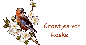 oie-UGJxu-AKr-PUpg-de-echte.png