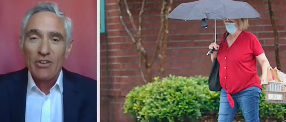 Dr-Scott-Atlas-explains-Texas-hospitalizations-Fox-News-screengrab-e1594089580174