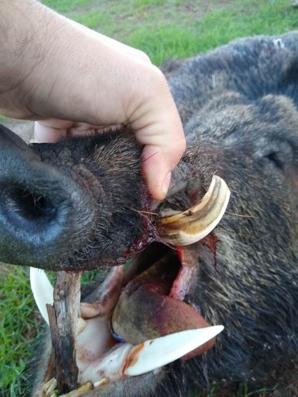 IMG_20200807_083856469