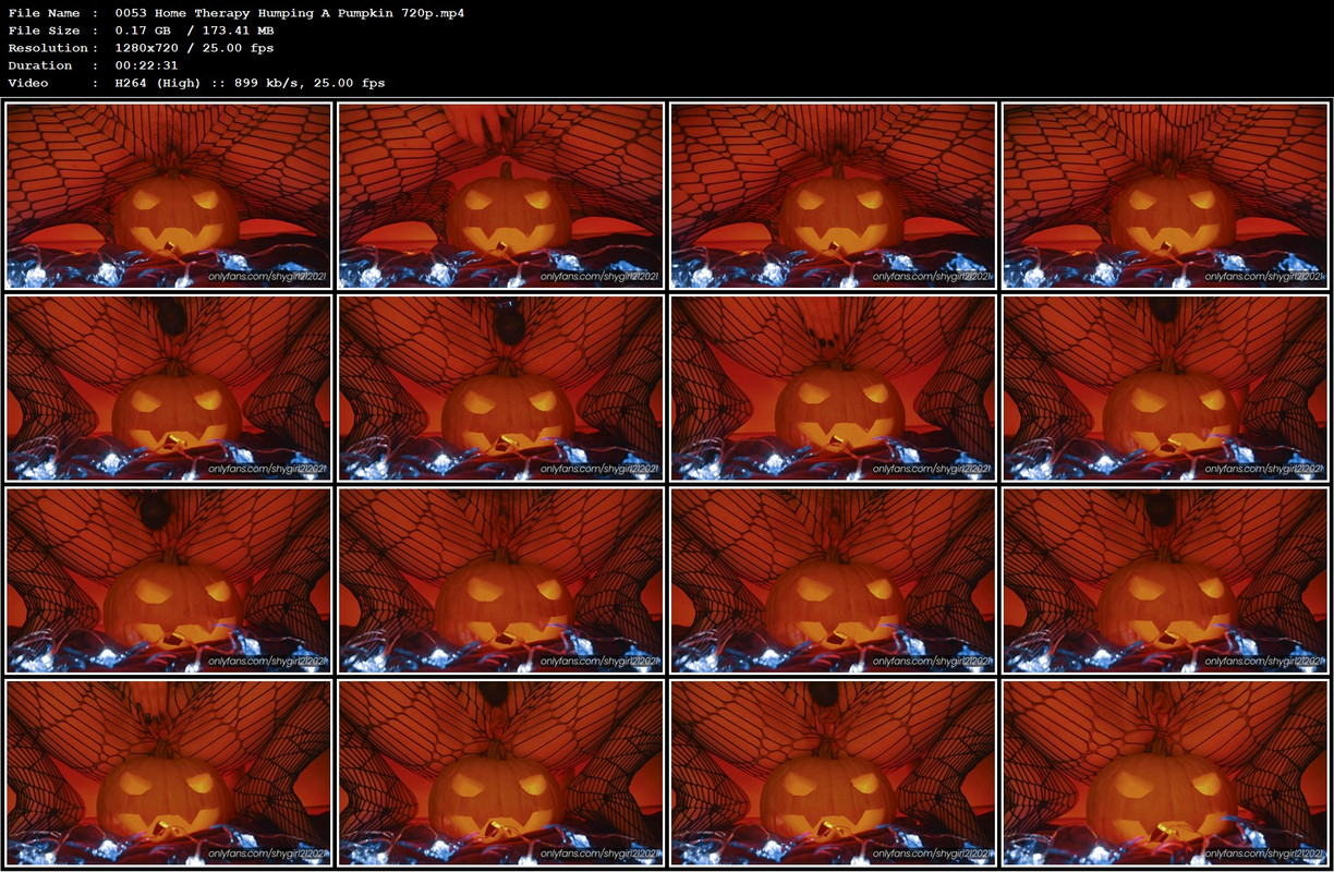 0053 Home Therapy Humping A Pumpkin 720p.mp4