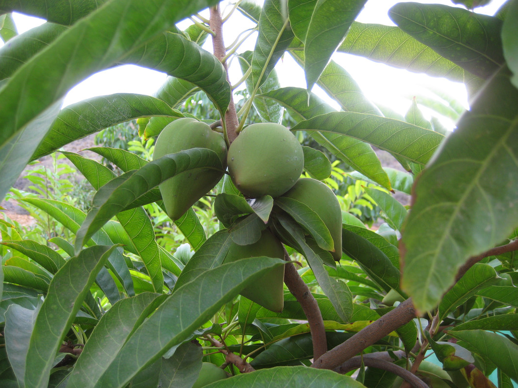 IMG 5778 — Postimages