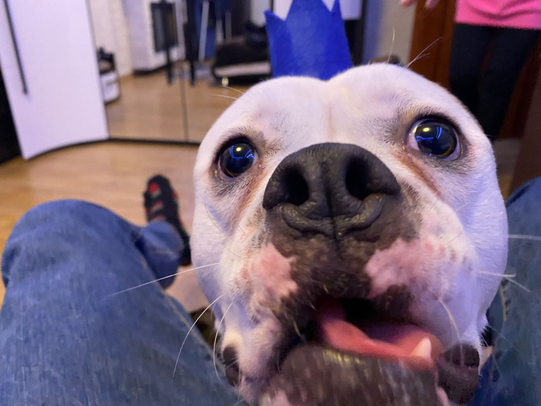 0B4F7310-F248-4737-91EC-4F3320C25741