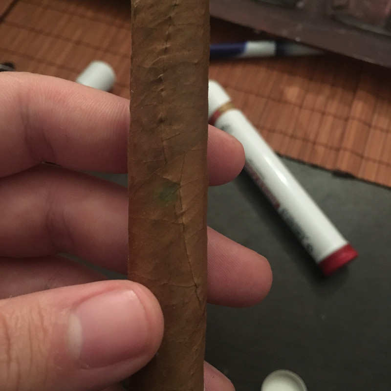 53A486DF-0E43-4F4D-B6A7-B477271A51E8