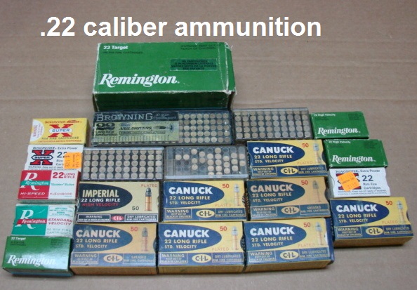 .22 caliber ammunition