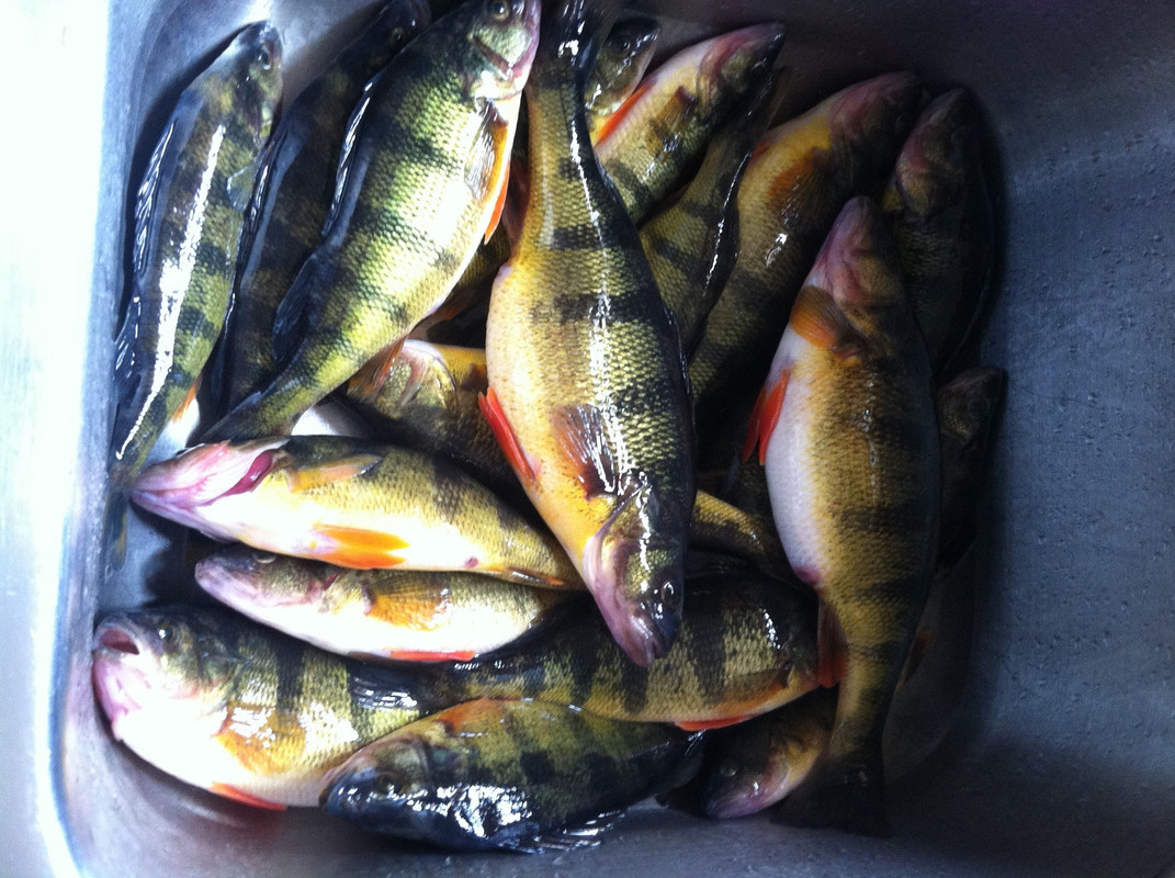 BU2014-05-02 104258-2002473