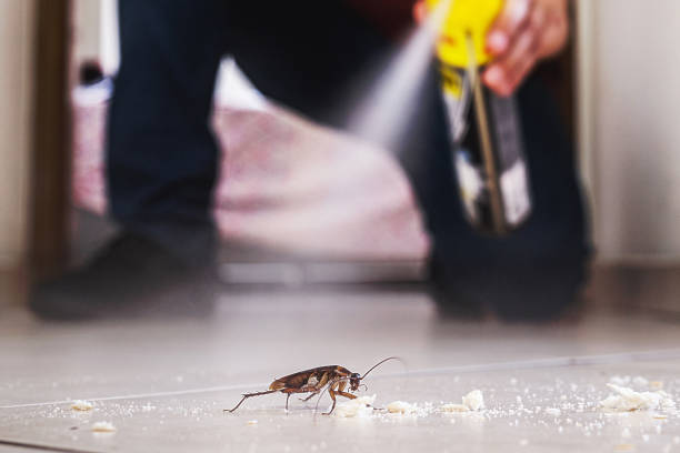 pest management
