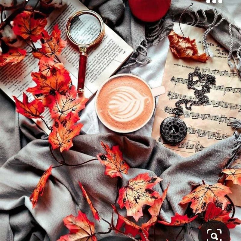 Screenshot_20230923_002106_Pinterest