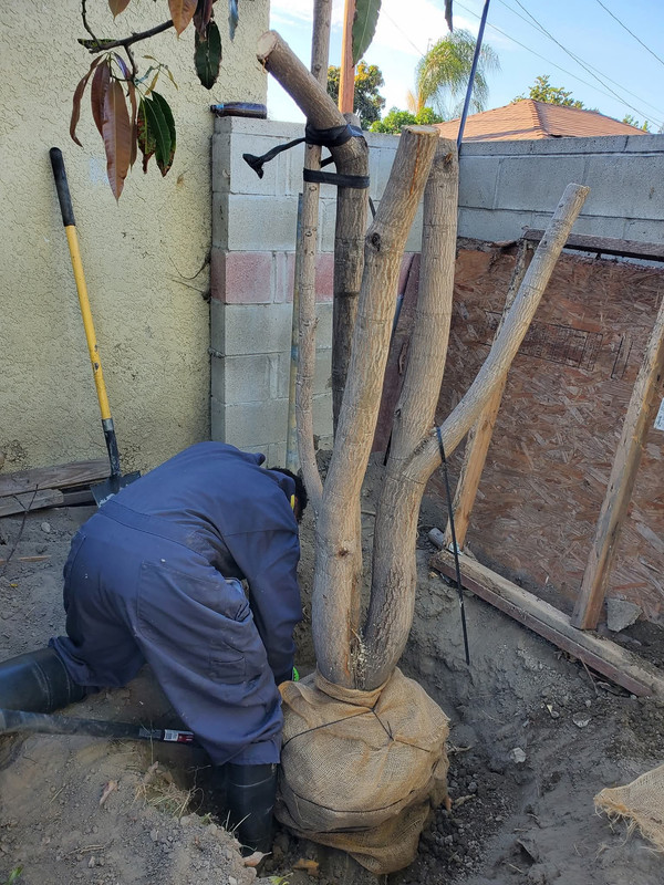 FB IMG 1757292320221