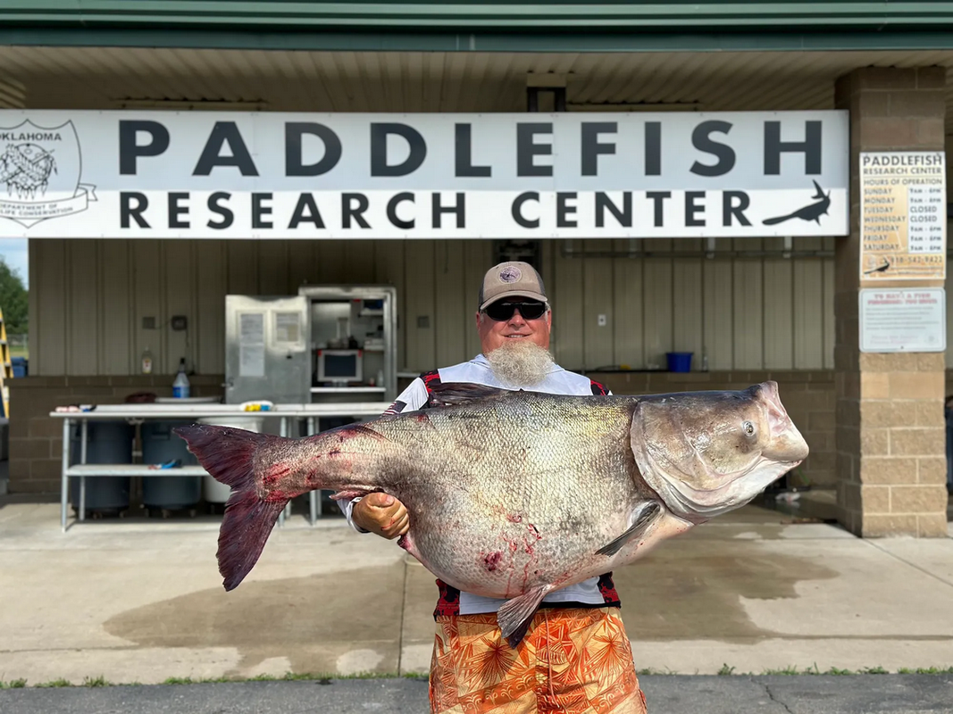 Screenshot 2024-10-28 at 10-45-36 Oklahoma Guide Snags New State-Record Bighead Carp