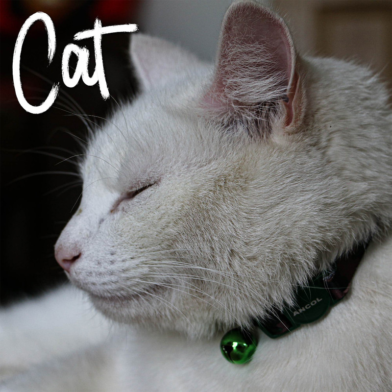 thumbnail2