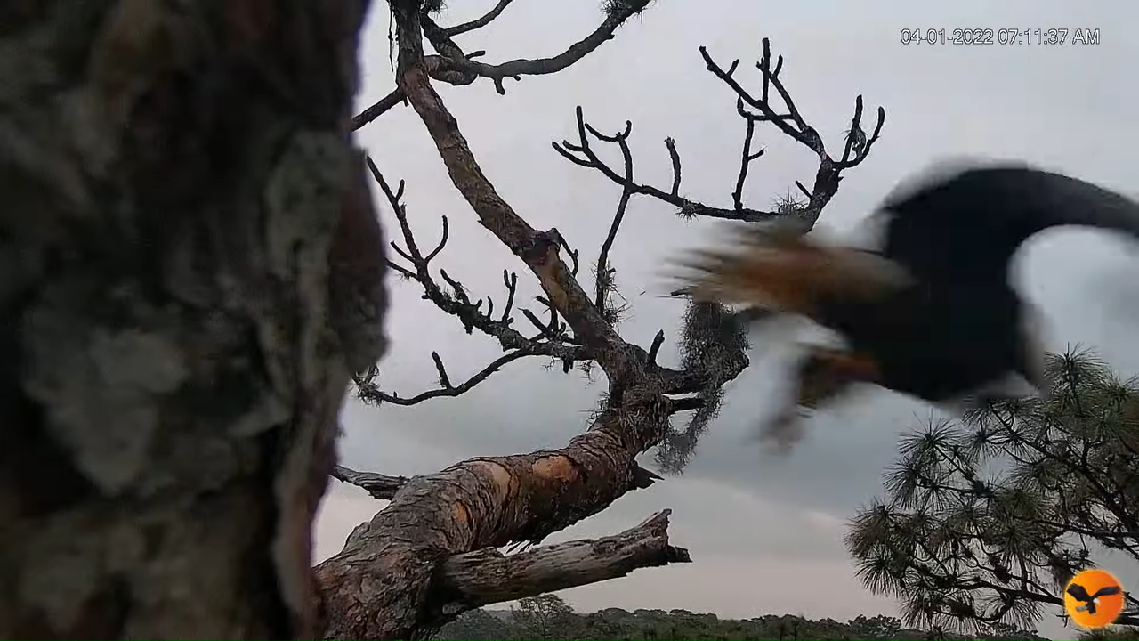 EC Remote Cam 7-43-53 screenshot (1)