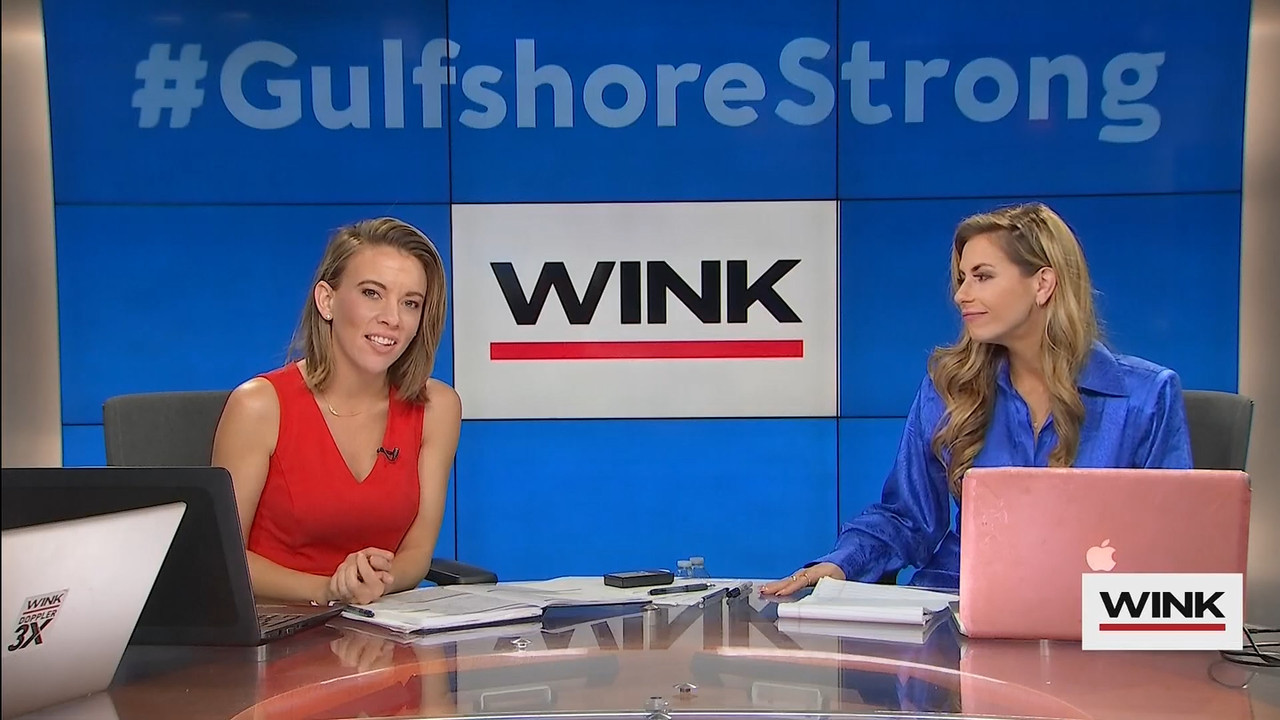 10.09 - 13.00.00 - WINK News at 8 00AM  ᴺᵉʷ..ts_snapshot_00.33.34.672