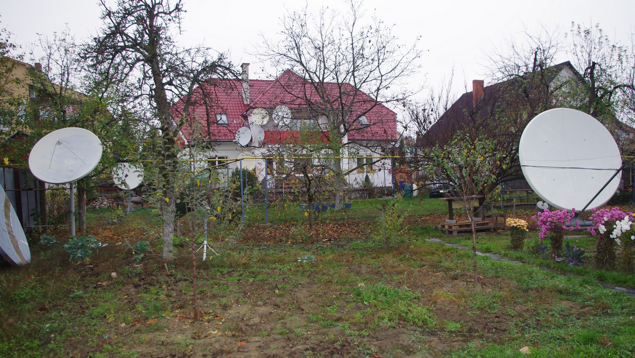 IMGP3918-tn.jpg
