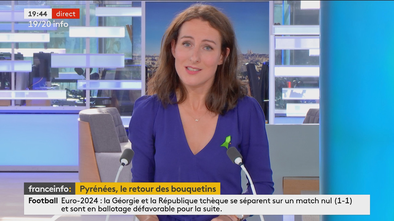 19-20 info week-end (Franceinfo)_2024_06_22_17_54_31.ts_snapshot_51.25.378