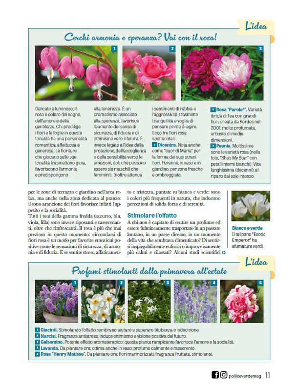 Pol Ver Apr 2026 (8)