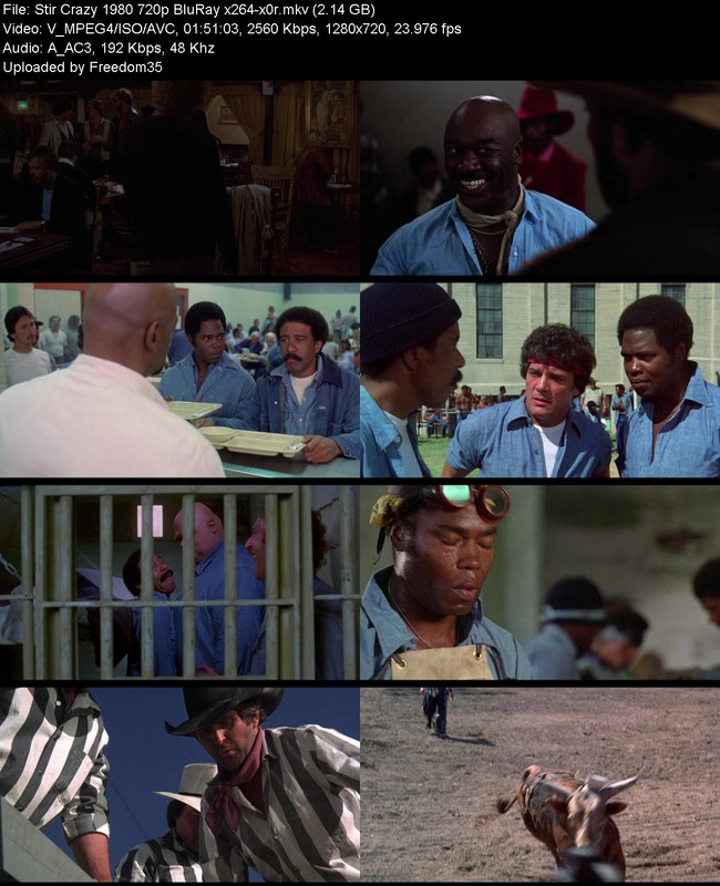 Stir-Crazy-1980-720p-Blu-Ray-x264-x0r.jp