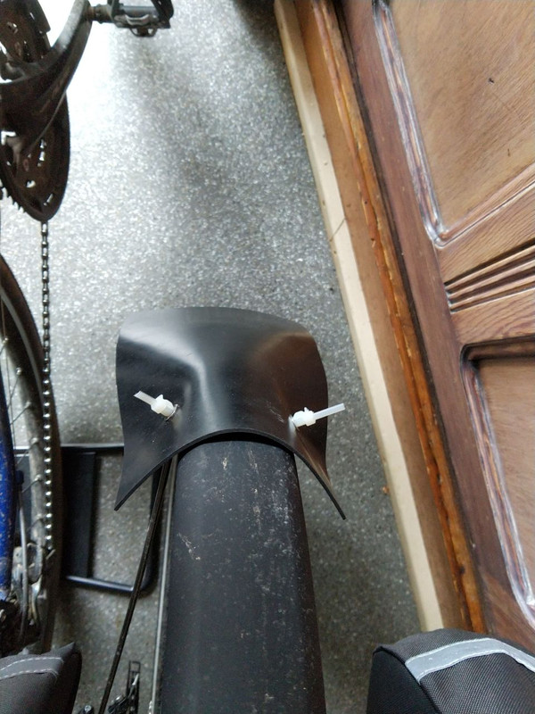 photo5848276183656019567