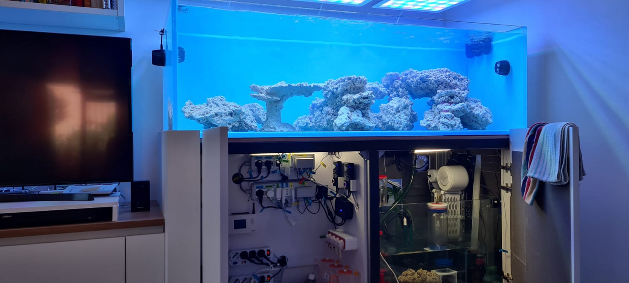 BED2612C-9253-4BDA-9FCD-B62E1E041C3E