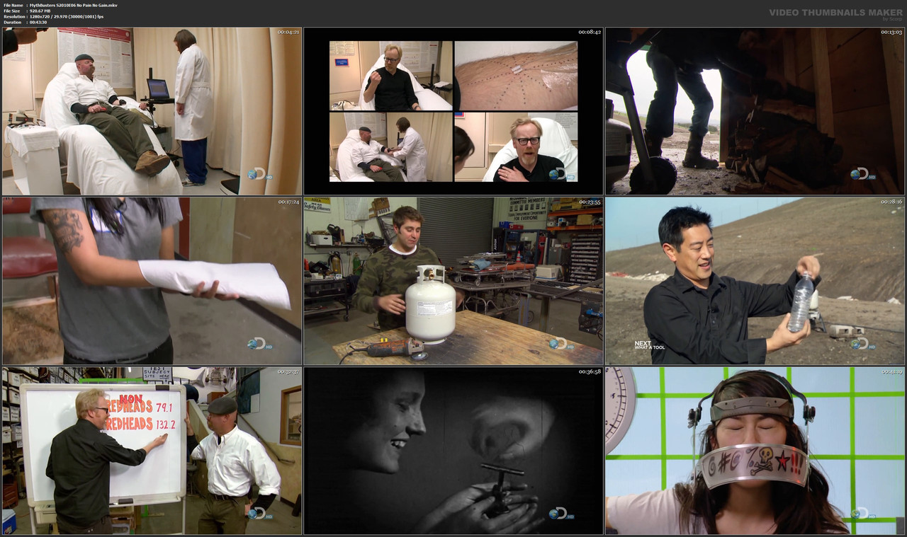 MythBusters S2010E06 No Pain No Gain.mkv