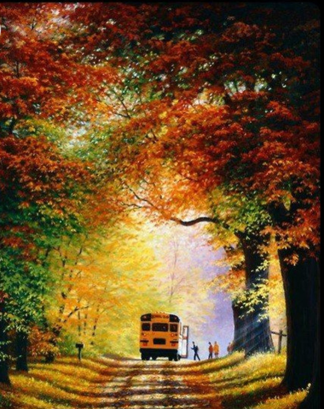 Screenshot_20230211_170156_Chrome