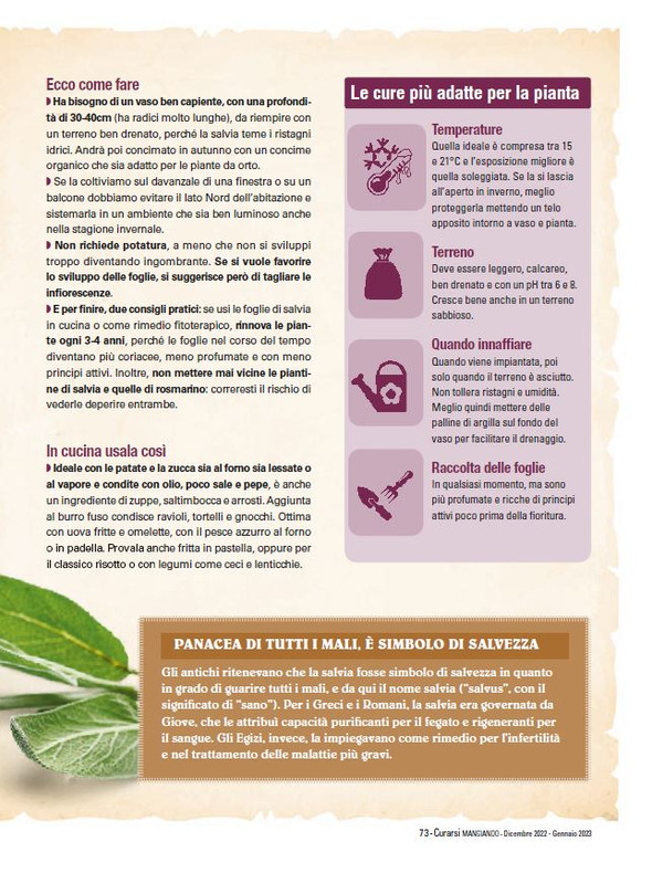 Cur Mang Dic 2022-Gen 2023 (12)