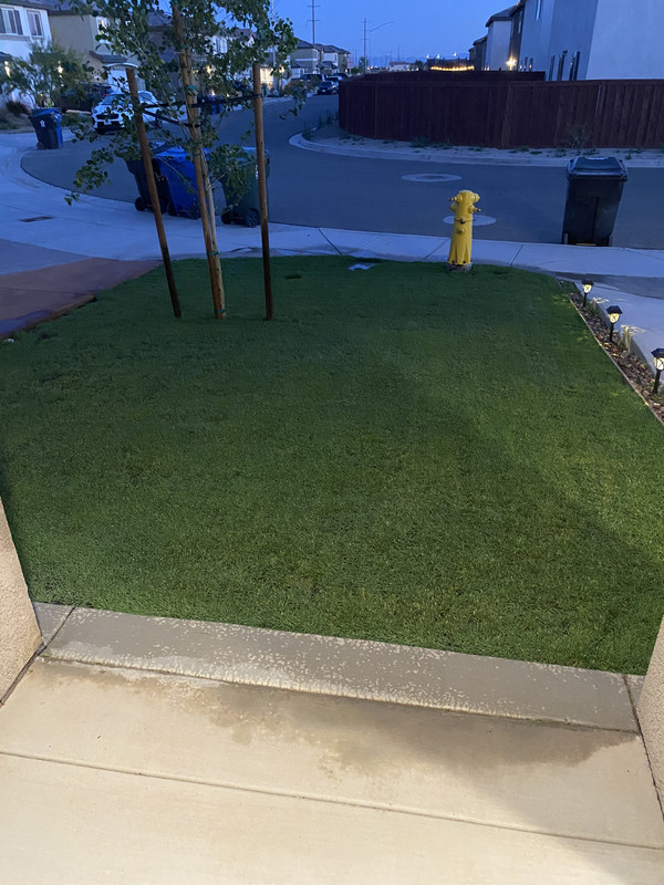 D49CFBEF-69F3-46CE-B038-66731D70D569