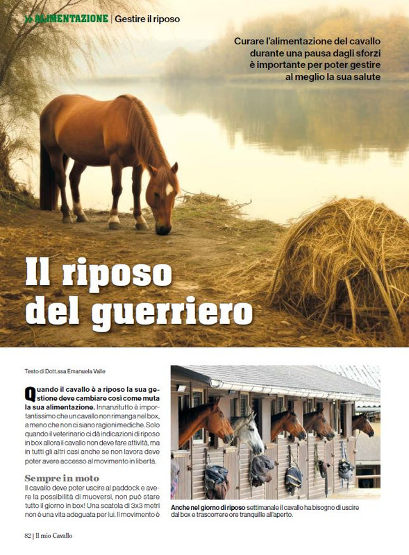 Il Mio Cav (Nov-Dic 2023) 11