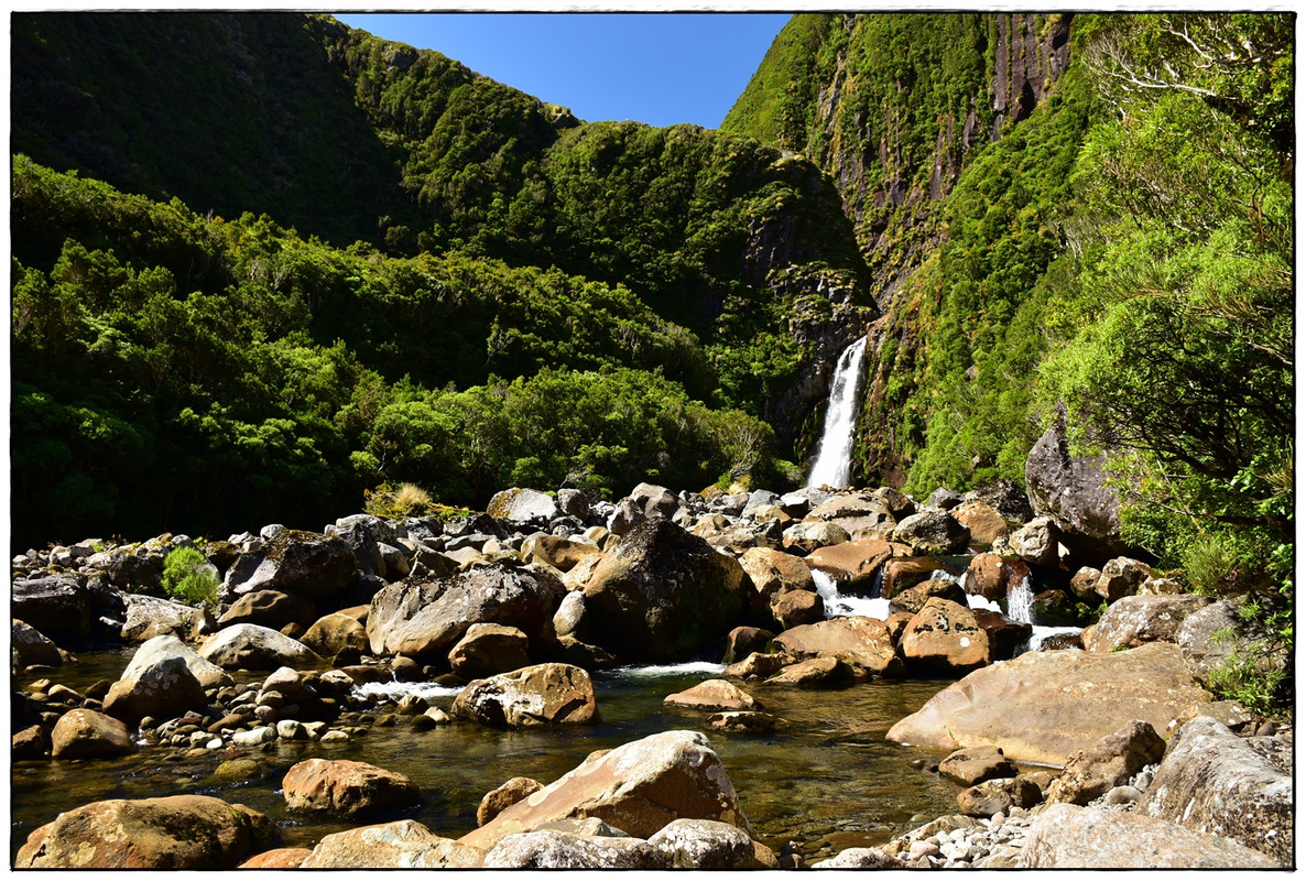 Escapadas y rutas por la Nueva Zelanda menos conocida - Blogs de Nueva Zelanda - Egmont / Taranaki NP: Pouakai Circuit (marzo 2021) (15)